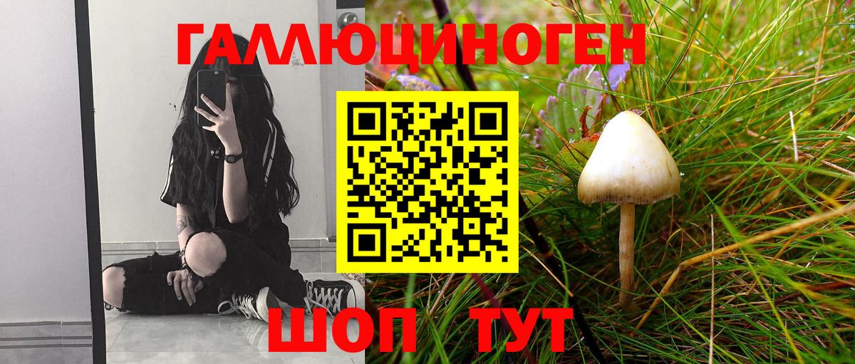 Псилоцибиновые грибы MAGIC MUSHROOMS Унеча