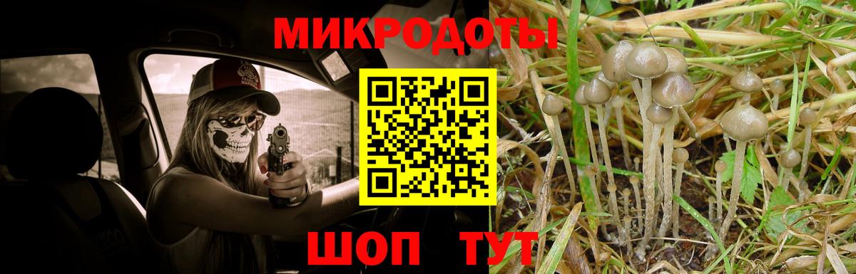 Унеча  Псилоцибиновые грибы MAGIC MUSHROOMS  Галлюциногенные грибы ЛСД  Вход с VPN 